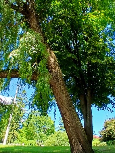 Wojsławickie Klimaty - galeria zdjęć